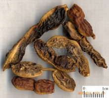 植物提取物|植物提取物公司_第38頁_