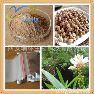 植物提取物-廠家現(xiàn)貨供應益智仁提取物,濕脾止瀉優(yōu)質原料-植物提取物盡在阿里巴巴-.