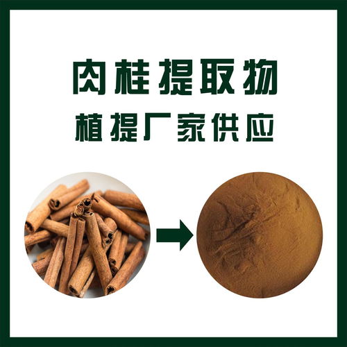 威海肉桂提取物廠(chǎng) 牡桂提取物 植物提取物