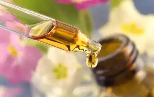 拒絕皮膚干燥飄雪，養生堂白樺樹汁身體乳要你好看