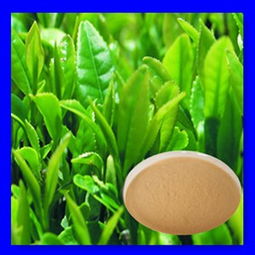 紅茶茶多酚 價格、型號規(guī)格與植物提取物特性詳解