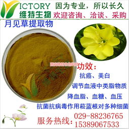 月見草提取物限時(shí)促銷，西安維特生物科技為您帶來純正植物精華
